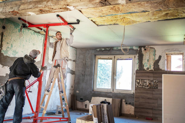 Best Wall Insulation Installation  in Aurora, SD